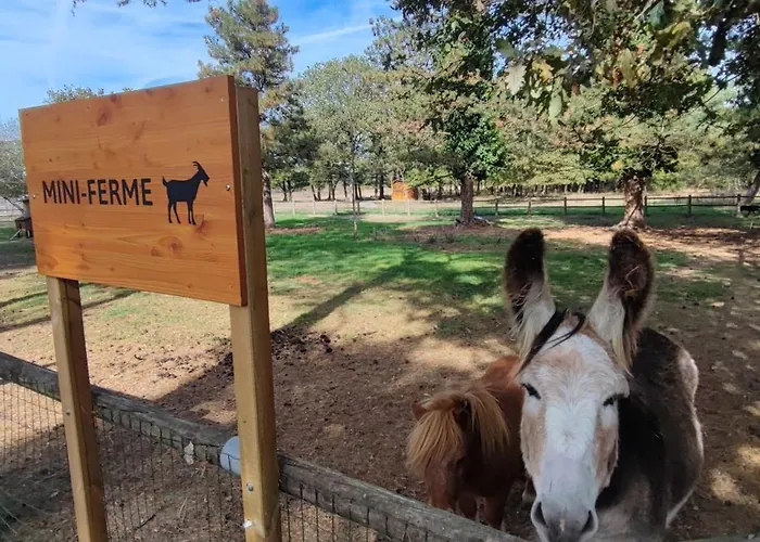 Havre De Paix Dans Un *